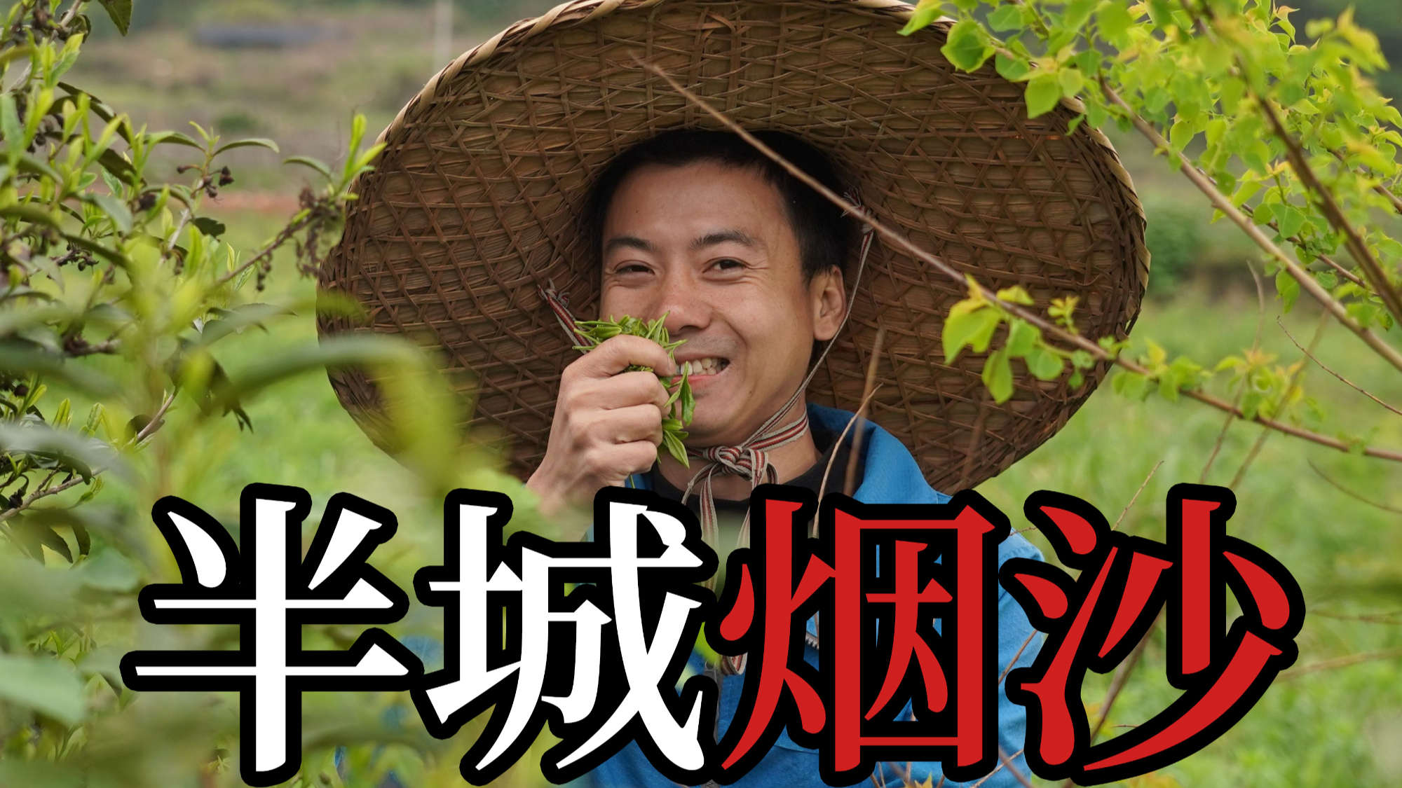 【华农兄弟】半城烟沙【出道616】